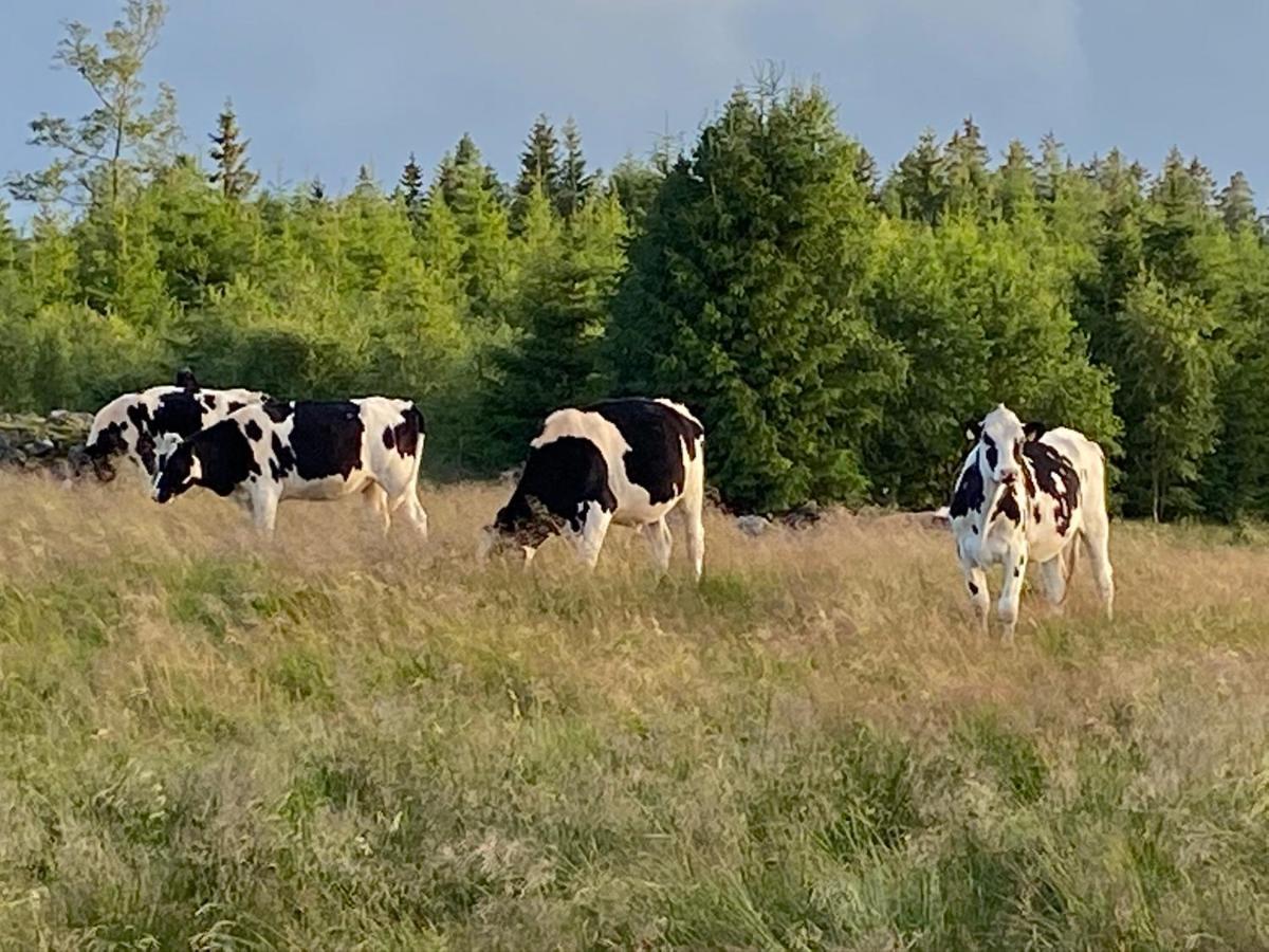 Villa Skog Fegen Naera Ullared Esterno foto